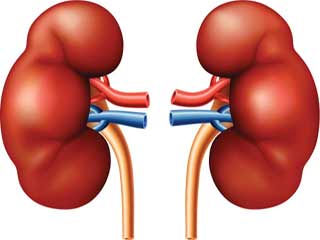 kidney-problem