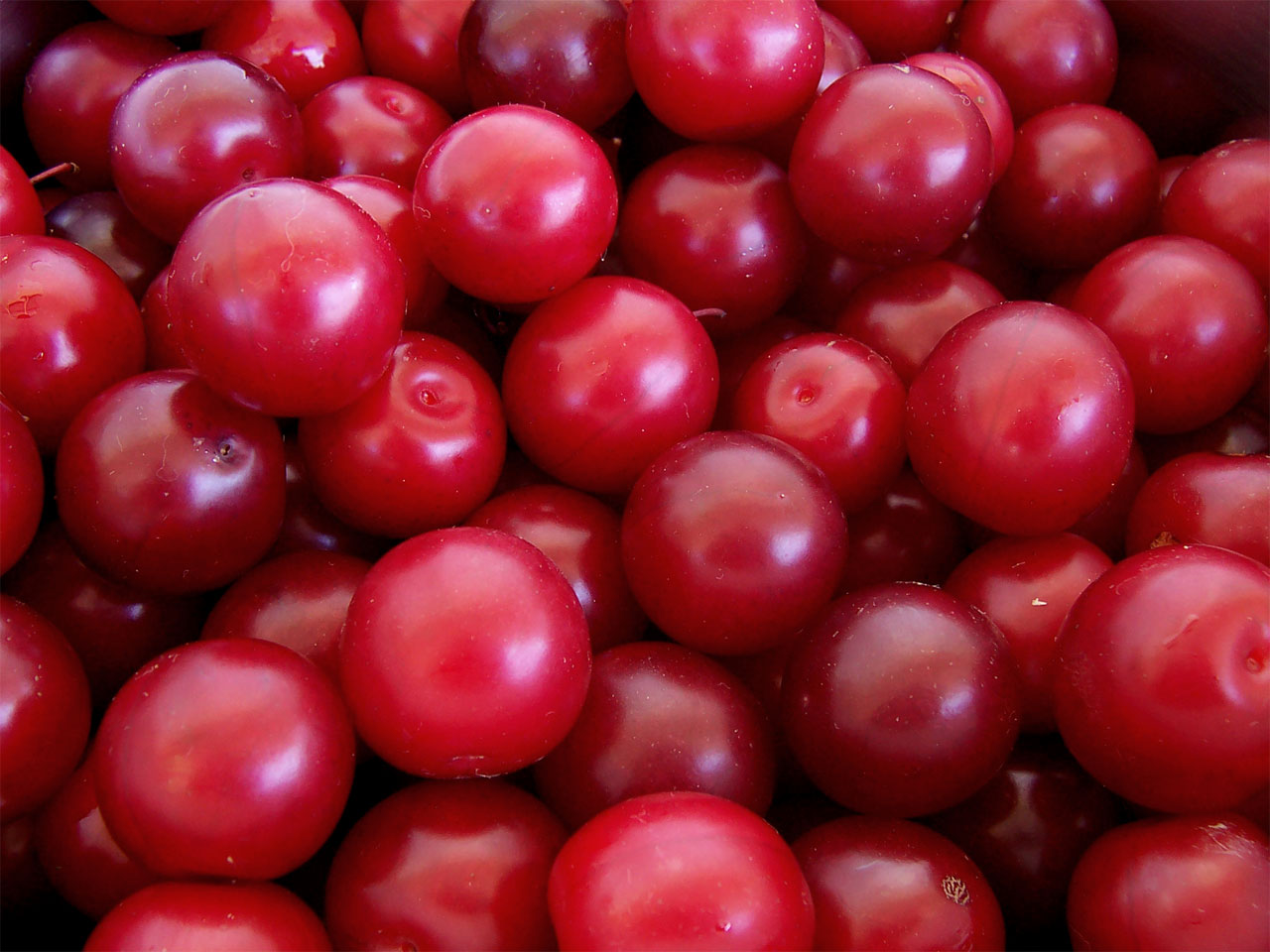 plums-alloo-bukhara