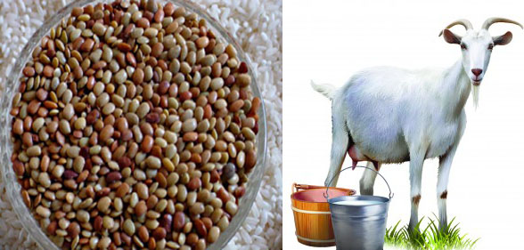 benefits-of-Kulthi-daal-and-goat-milk