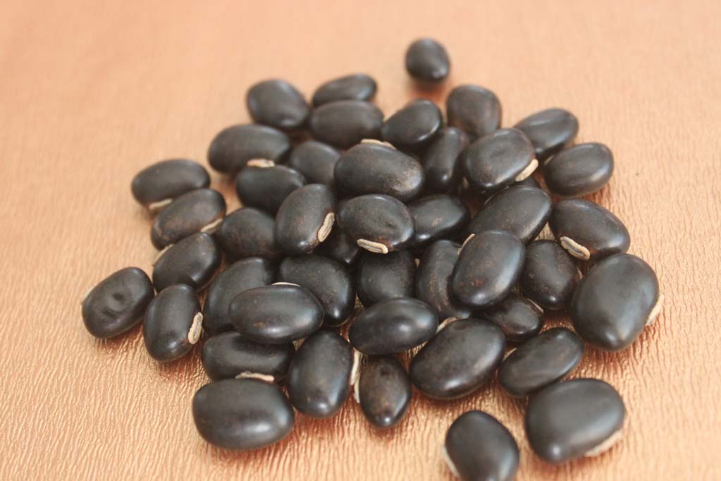 कौंच के बीज, कौंच बीज के लाभ, Mucuna Seeds