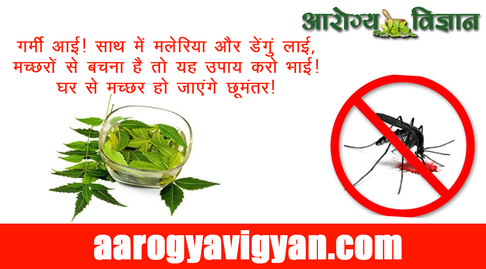mosquito-killing-home-tips-hindi-machar-bhgane-ke-garelu-upay-neem-ke-fayde