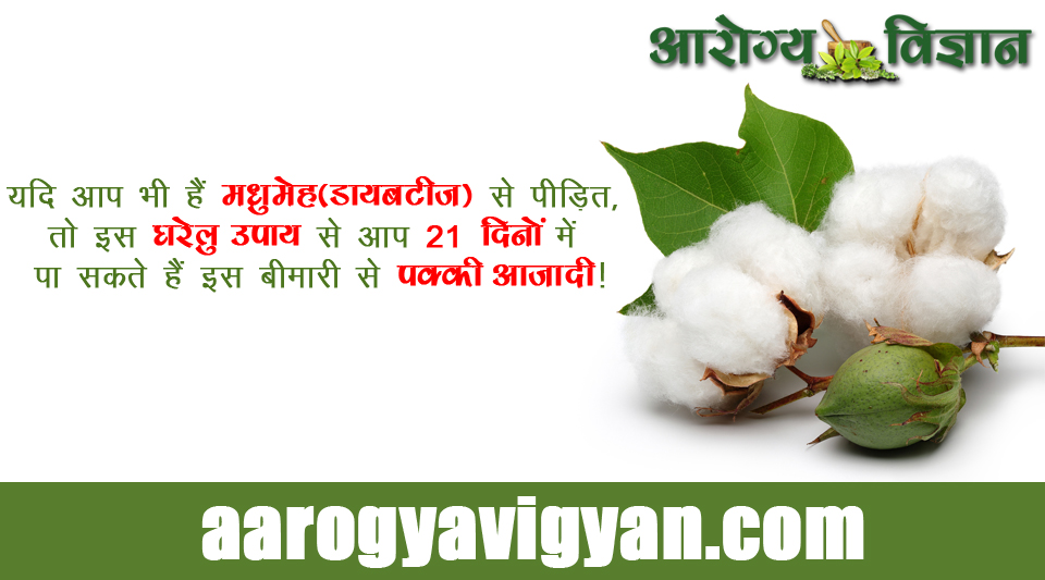 home-remedy-for-diabetes-ayurvedic-treatment-madhumeh-ka-gharelu-upchar-upay-nuskha-ilaj-benefits-of-cotton-seeds-binaula-ke-fayde