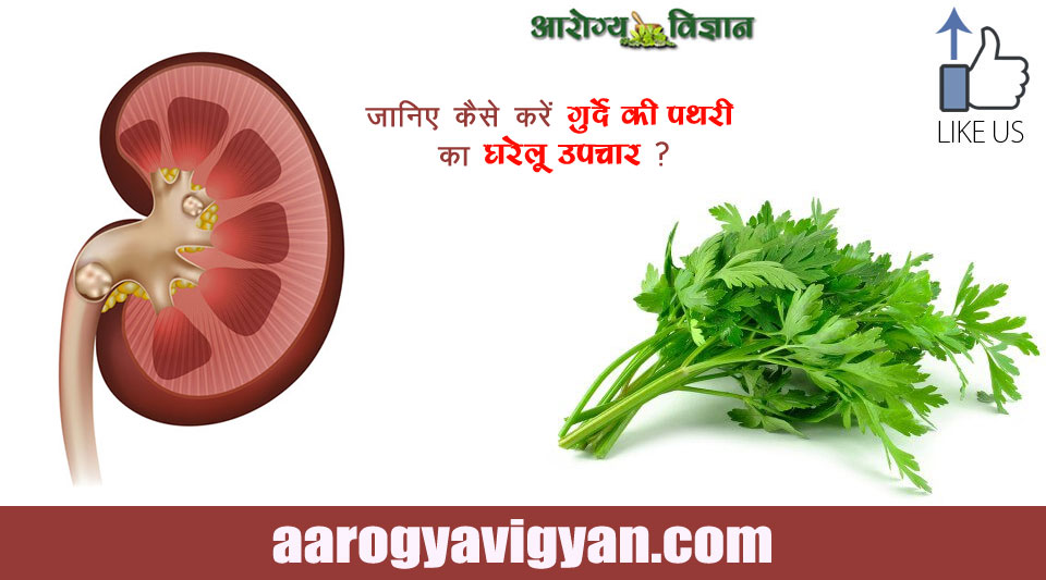 herbal-ayurvedic-home-remedy-treatment-cure-for-kidney-stone