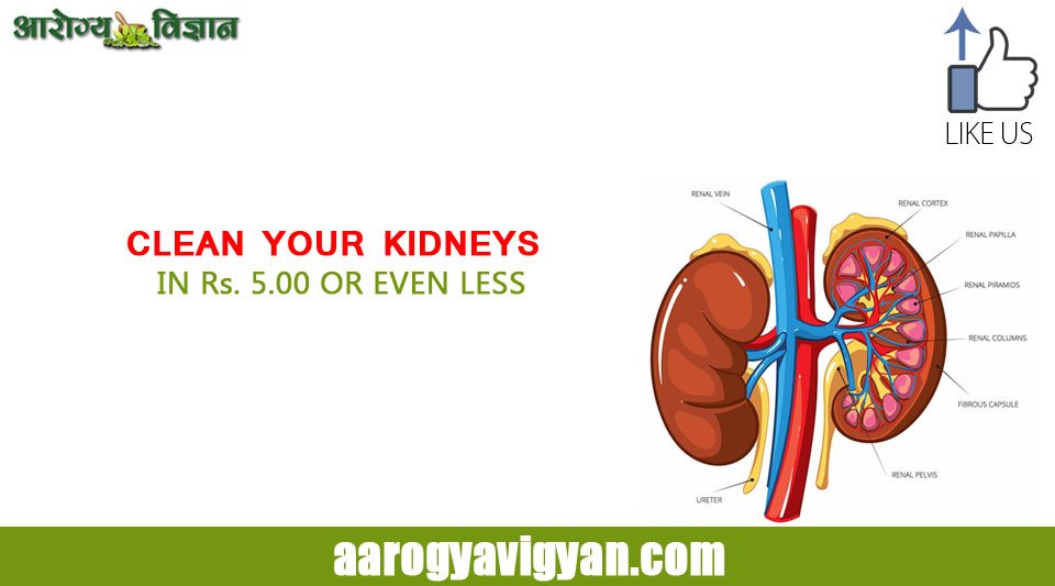 clean-your-kidneys-rs-5-00-even-less