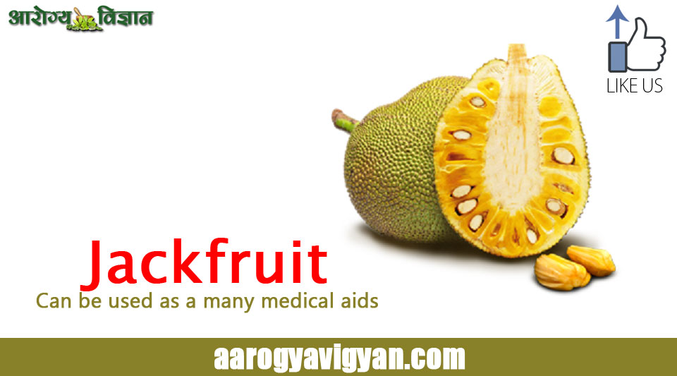 jack-fruit-used-many-medical-aids