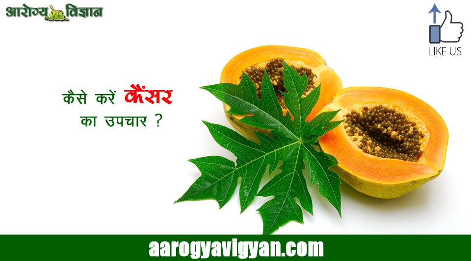 papaya-leaf-tea-for-cancer