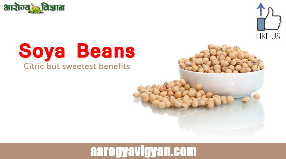 soybeans-richness-fiber