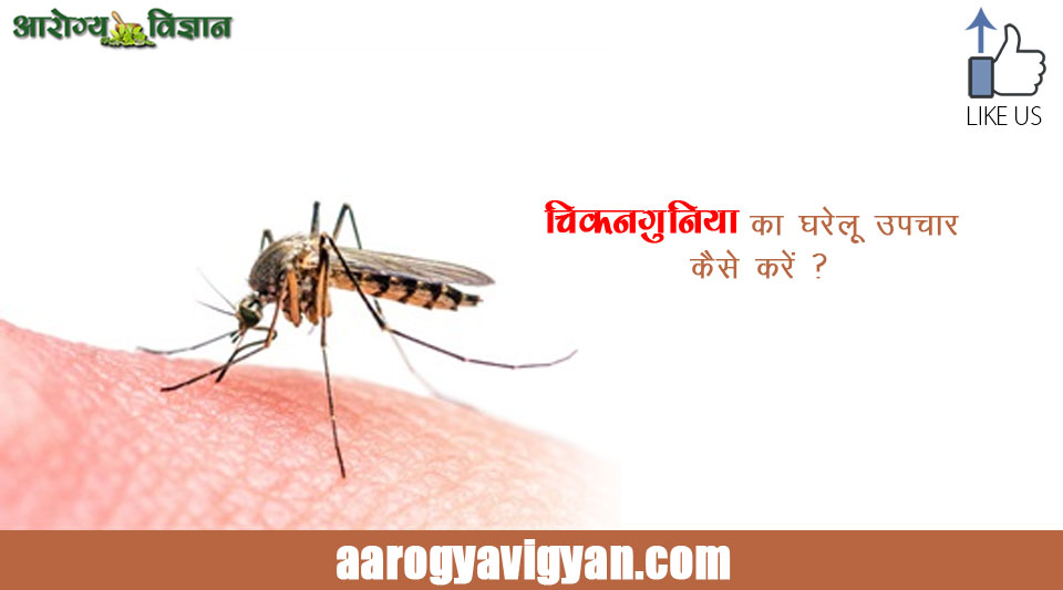 chikungunya-home-remedy