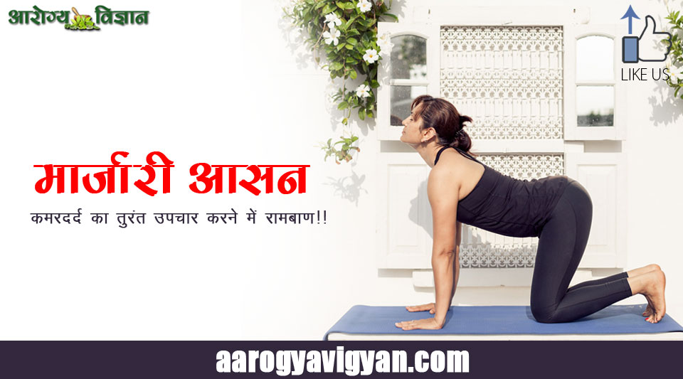 solve-back-pain-problem-yoga